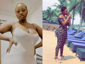 Elizabeth Omotayo Ajibola Biography: Age, Career, State of Origin & Achievements