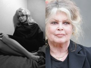 Brigitte Bardot